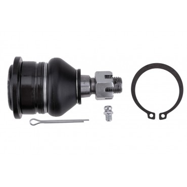 Rotule de Suspension Avant inférieur Pour Nissan Maxima Maxima Qx IV 4016041U00