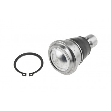 Rotule de Suspension Avant inférieur Pour Nissan Murano I II Qashqai 40160CA010