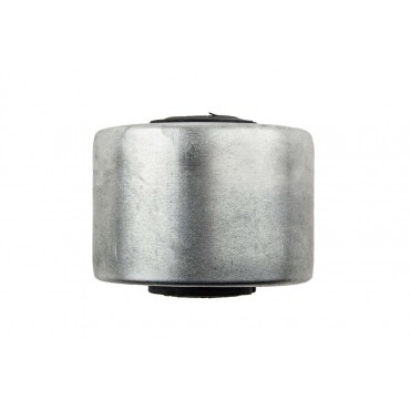 Silent Bloc de Bras de Suspension Pour Nissan Murano I Quest Teana I 54500CN00C