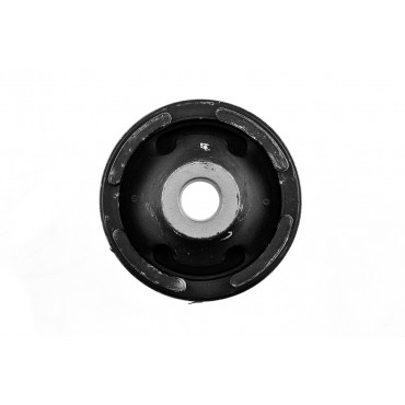 Silent Bloc de Bras de Suspension Pour Lexus Gs 1997-2000 4865530120 4866030240