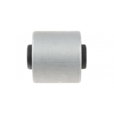 Silent Bloc de Bras de Suspension Arrière Pour Land Rover Freelander I RGX101030