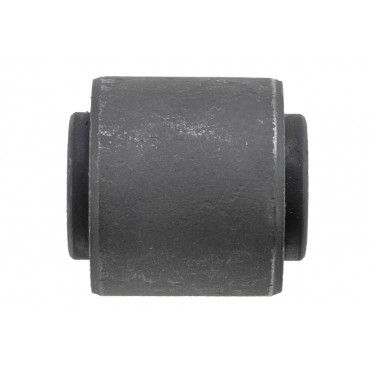 Silent Bloc de Bras de Suspension Arrière Pour Ford C-Max Focus I II 1061668