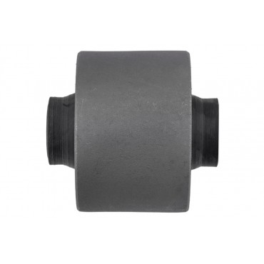 Silent Bloc de Bras de Suspension Arrière Pour Subaru Legacy 20254FE000