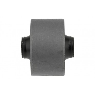 Silent Bloc de Bras de Suspension Arrière Pour Suzuki Grand Vitara I 4620165D00