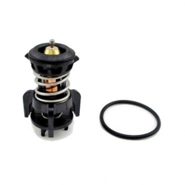 Thermostat d'eau A1 TT...