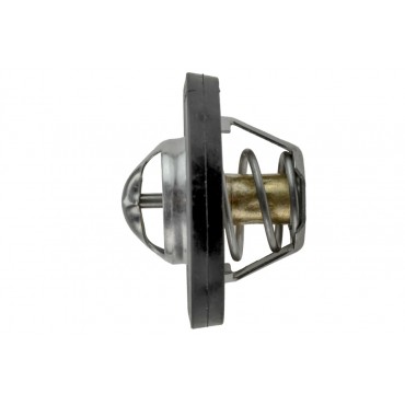 Thermostat d'Eau Pour Ford Capri II III Consul Escort I II Fiesta 21200BX000