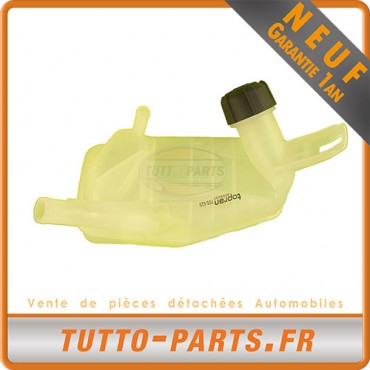 Vase d'Expansion d'Eau Scénic II