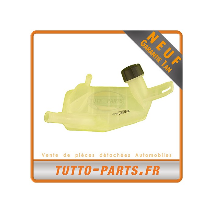 Vase d'Expansion d'Eau Scénic II