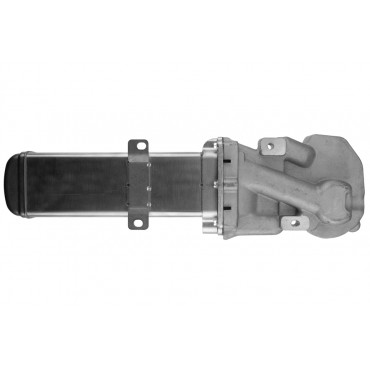 Radiateur de Vanne EGR Pour Audi A3 Vw Beetle Golf VI Jetta III 03L131501F