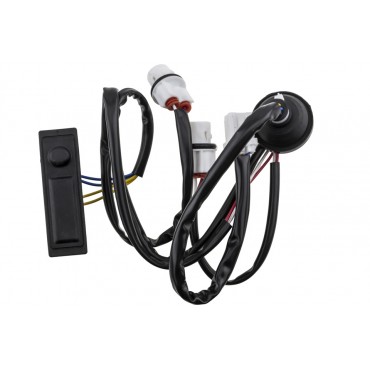 Poignée de Coffre Arrière Pour Nissan Juke - à partir de 2010 253801KA0A