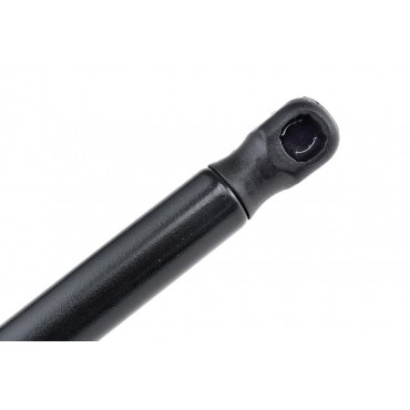 Vérin de Coffre Pour Bmw Série 1 E81 E87 51247060622