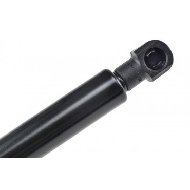 Vérin de Coffre Pour Renault Laguna II 2001-2007 8200000903