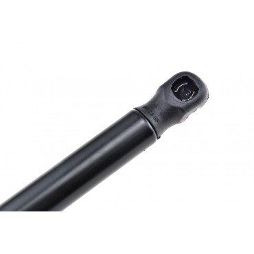 Vérin de Coffre Pour Renault Megane II 2003-2009 8200119498