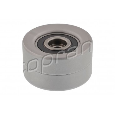 Poulie de Renvoi Courroie Crantée Pour Audi A3 A4 A5 A6 A7 Q2 Q3 Q5 3N109244A