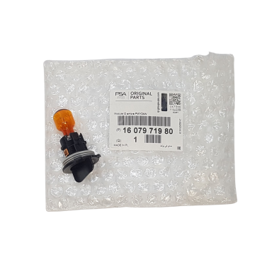 Ampoule PWY24W Clignotant Pour Citroën C4 II Ford Galaxy III Kuga III 1607971980
