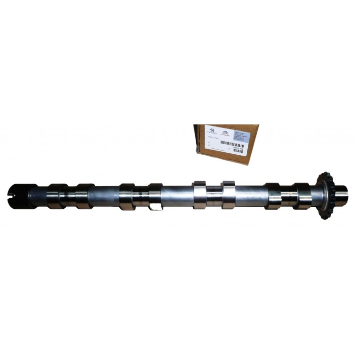 Arbre à Cames Pour Citroën C4 C5 C8 Fiat Scudo Ulysse Ford C-Max 0801AC