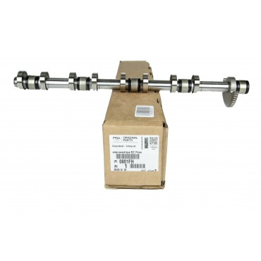 Arbre à Cames Pour Citroën Berlingo C3 C4 C5 Peugeot Rcz Partner 0801FH