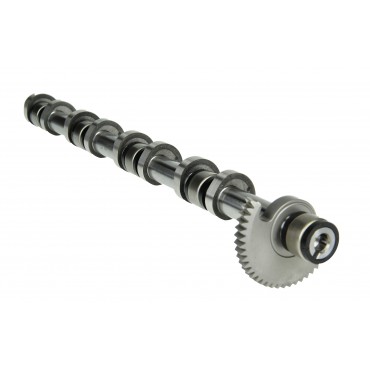 Arbre à Cames Pour Citroën Berlingo C3 C4 C5 Peugeot Rcz Partner 0801FH