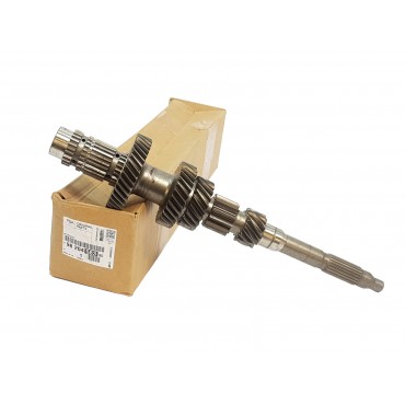 Arbre de Boite de Vitesses Pour Citroen Jumper Peugeot Boxer 9820458380