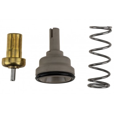 Thermostat d'Eau Pour Seat Ibiza IV Skoda Rapid Vw Jetta IV Polo IV V 03C121110J