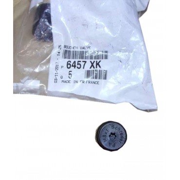 Bouchon Valve Purge Clim 16mm Pour Peugeot 508 - à partir de 2019 6457XK