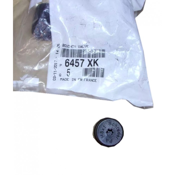 Bouchon Valve Purge Clim 16mm Pour Peugeot 508 - à partir de 2019 6457XK