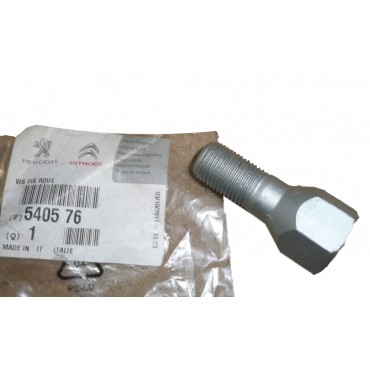 Boulon de Roue Pour Citroën Jumper I Fiat Ducato Peugeot Boxer 540576 1345714080