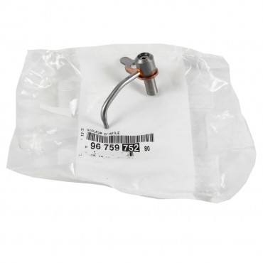 Buse d'Huile Pour Citroën Jumper Ford Transit Peugeot Boxer 9675975280 1120411