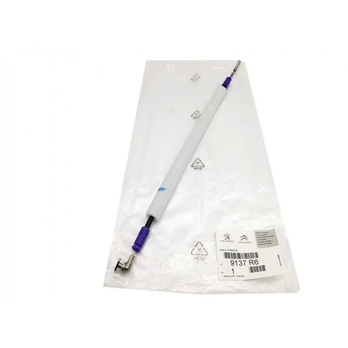 Cable de Verrouillage Porte Arrière Pour Citroen Jumpy II Peugeot Expert 9137R6