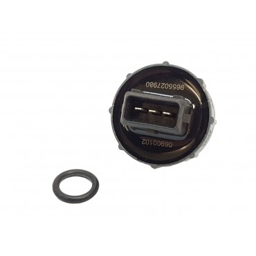 Capteur Présence d'Eau Pour Peugeot 308 191316