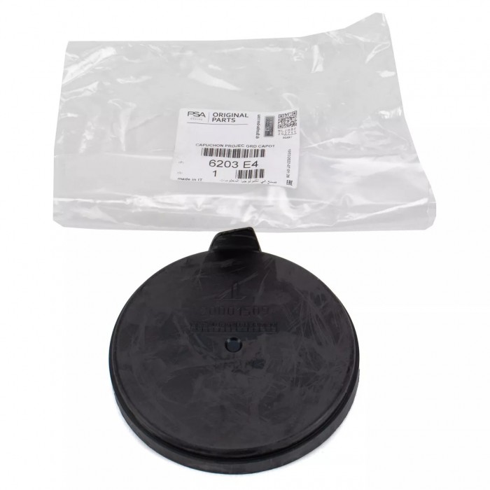 Couvercle de Phare Pour Citroën C4 II Ds3 Ds4 Peugeot 308 6203E4