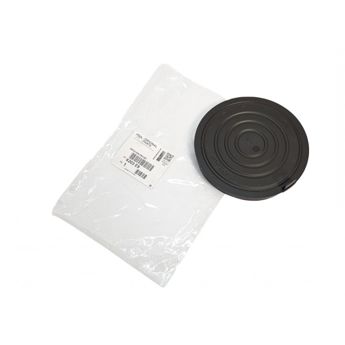 Couvercle de Phare Pour Peugeot 207 6203E9