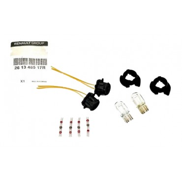 Douille d'Ampoule Pour Renault Laguna III 261348517R