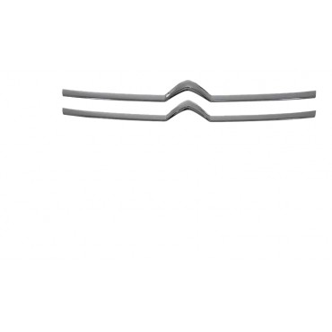 Grille de Pare Choc Chromé Pour Citroen Jumpy Peugeot Jumper 98117065VD