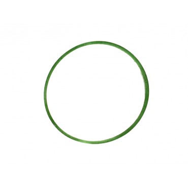 Joint de Papillon d'Admission d'Air Pour Citroën C-Elysee C1 II C3 C4 9800894880