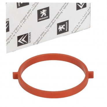 Joint de Papillon d'Admission d'Air Pour Citroën Berlingo C-Elysee C3 9813758380