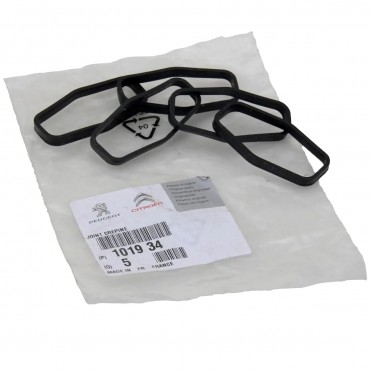 Joint de Pompe à huile Pour Ford B-Max C-Max II Ecosport Fiesta VI Focus 101934