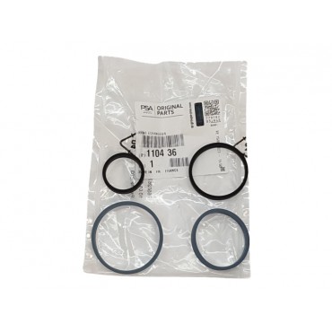 Joint Radiateur d'Huile Pour Citroën Berlingo C-Elysee C1 C2 C3 I II C4 110436