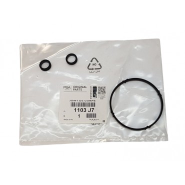 Joint Radiateur d'Huile Pour Citroën Berlingo C-Elysee C2 C3 C4 I Nemo 1103J7