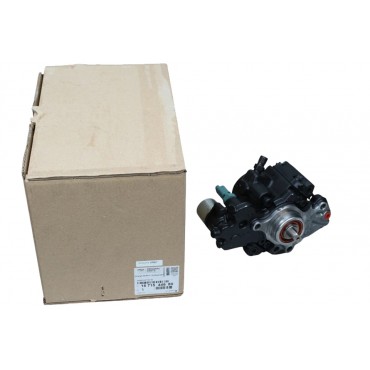 Pompe à Injection Carburant Pour Peugeot 3008 I Mpv 2.0 HDi 1671544680