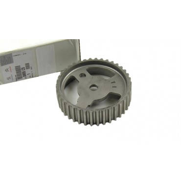 Poulie d'Arbre à Cames Pour Citroën C5 I - à partir de 2005 0805C5