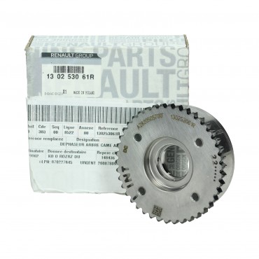 Poulie d'Arbre à Cames Pour Renault Arkana I Austral Captur I II Clio 130253061R