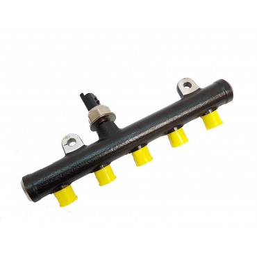 Rampe d'Injection Pour Citroën Berlingo C2 C3 I II C4 I C5 II III 1570N5