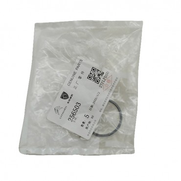 Segment de Piston Boite Automatique Pour Bmw X5 E70 3.0 d, 4.8i xDrive 256503