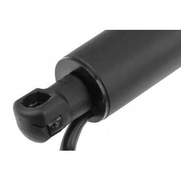 Vérin de Coffre electrique Pour Bmw Série 5 G31 51248494106 51247390410