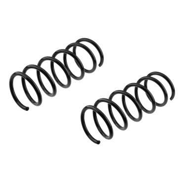 x2 Ressort de Suspension Arrière Pour Fiat Panda 2003-2013 50703623 51793551