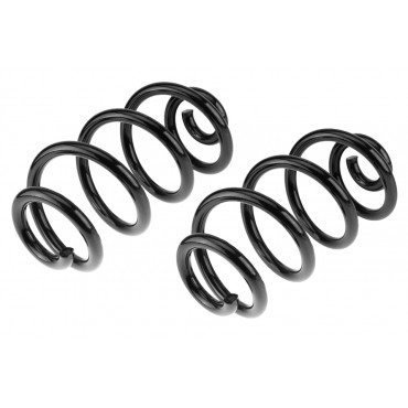 x2 Ressort de Suspension Arrière Pour Nissan X-Trail II 55020JG21A 55020JG20A