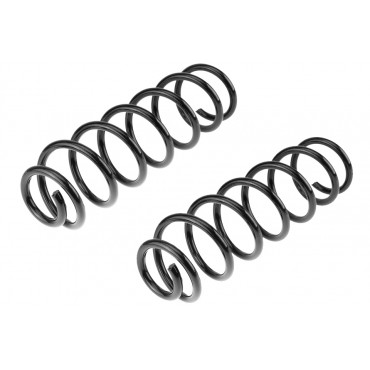 x2 Ressort de Suspension Arrière Pour Renault Megane III 2008-2015 550200026R