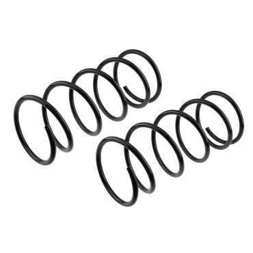 x2 Ressort de Suspension Avant Pour Peugeot 206+ 306 5002P5 5002T4 500235