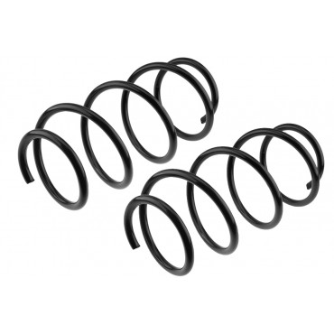 x2 Ressort de Suspension Avant Pour Renault Megane III 2008-2017 540100023R